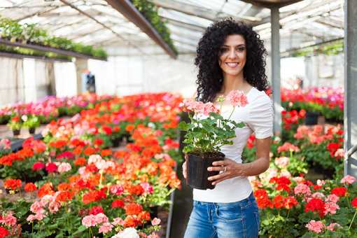 9 Best Garden Centers and Nurseries in Texas!