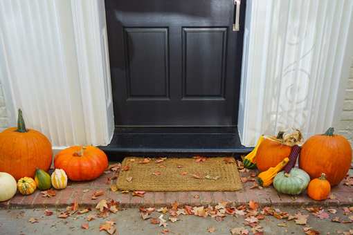 The 9 Best Pumpkin Picking Spots in Texas!